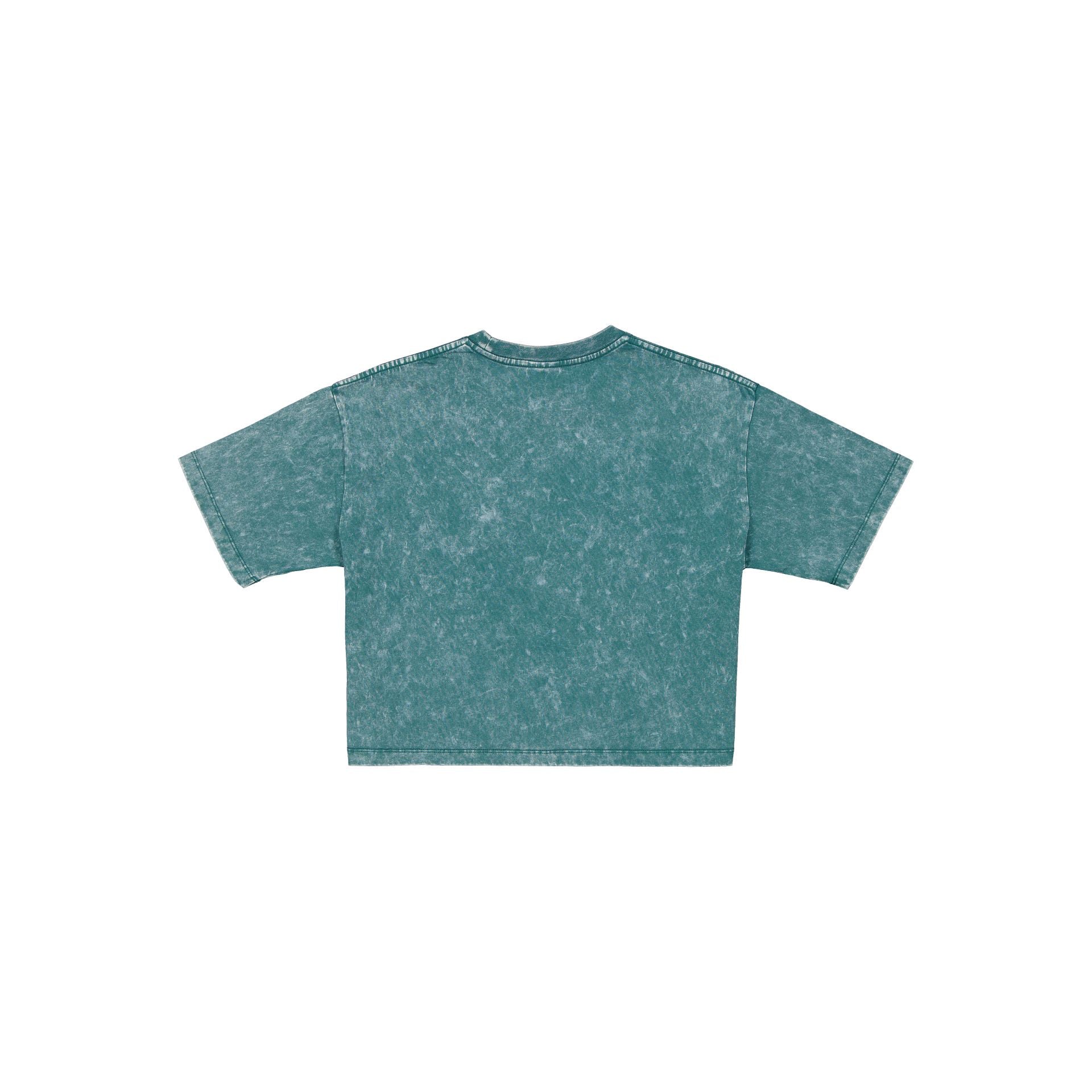 Philadelphia Eagles Sport Classics Women's Cropped T-Shirt